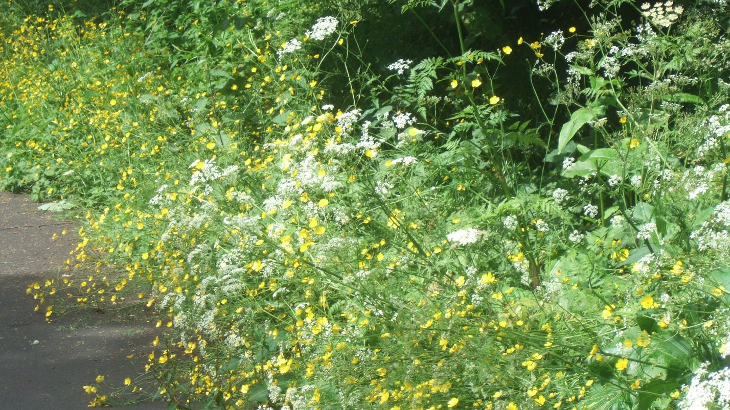 Riverside Park, Hadrian's Way, St. Peter's, Newcastle